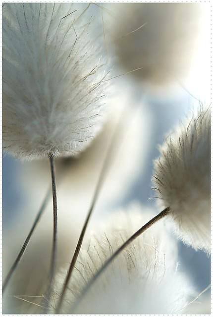 Quando qualcosa finisce, resta sempre un peso.