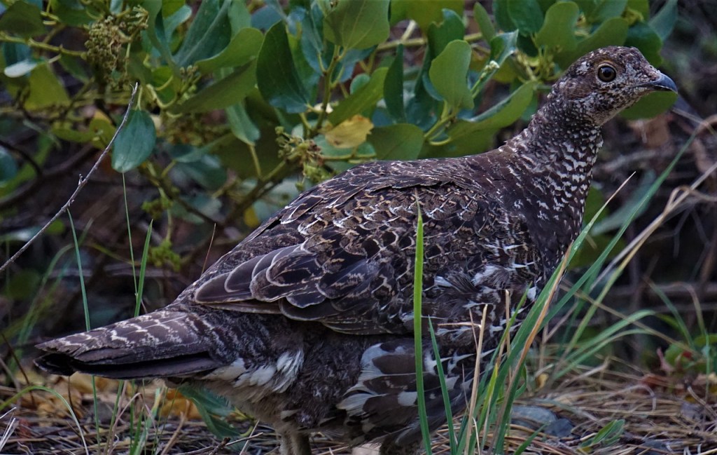 Quando la bellezza e l'amore gratuito ci aiutano ad essere autentici