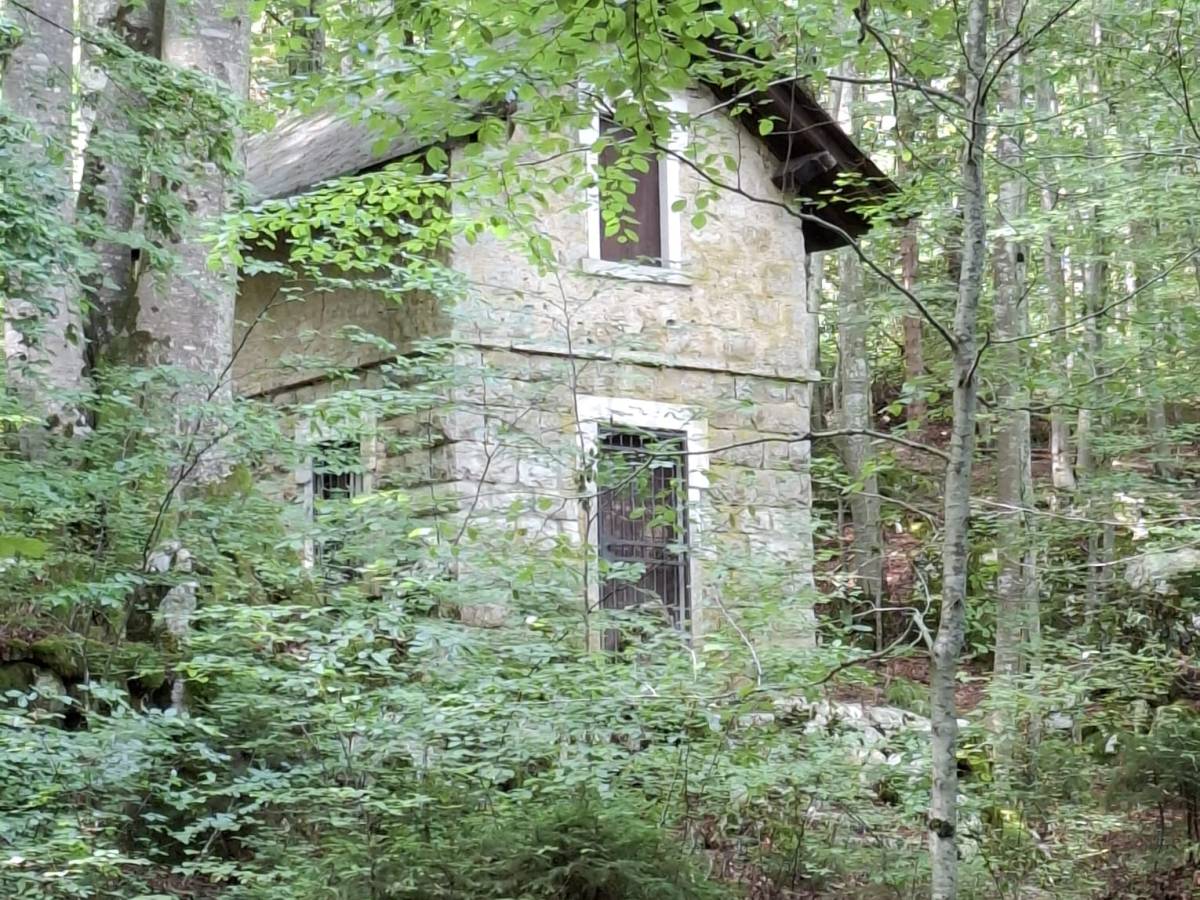 La casetta nel&nbsp;bosco