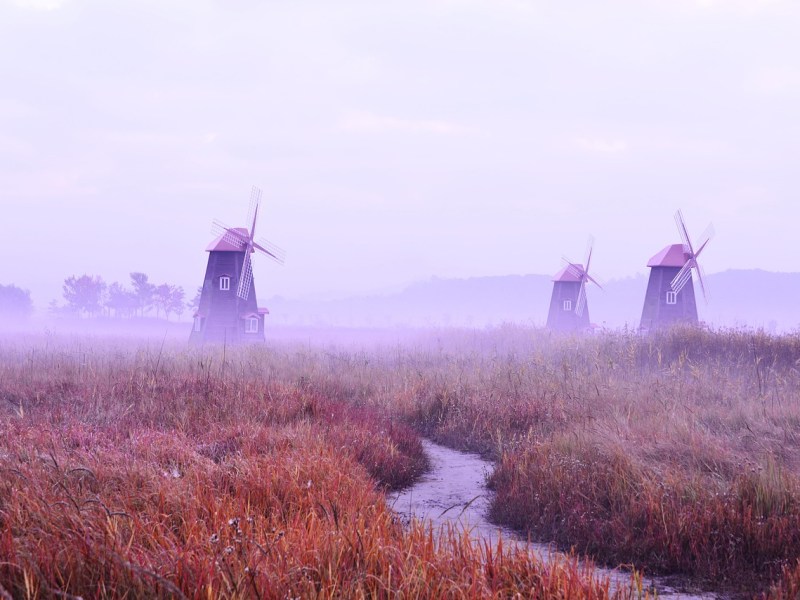 Non si può fermare il&nbsp;Vento