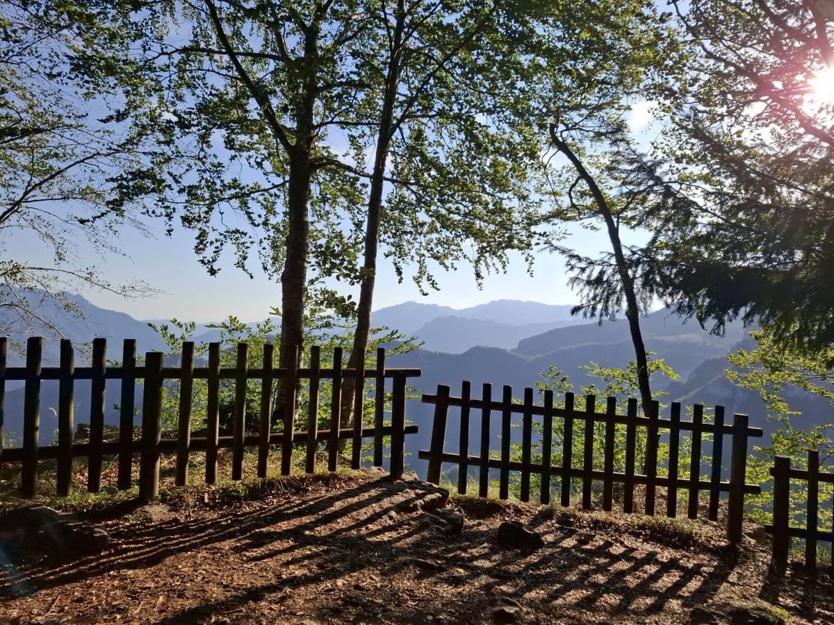 Ritorno al Belvedere